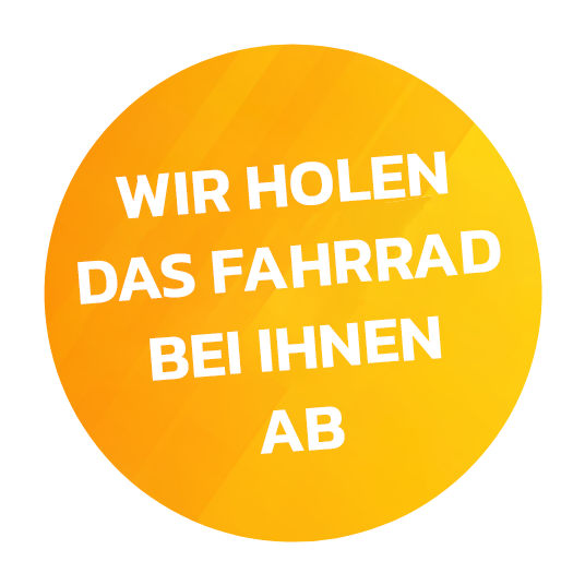 https://ebikeverhuur.nl/wp-content/uploads/2023/05/ribbon2.png